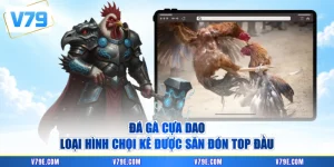 Đá Gà Cựa Dao - Loại Hình Chọi Kê Được Săn Đón Top Đầu